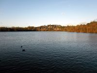 Netherton Open Water Swimming